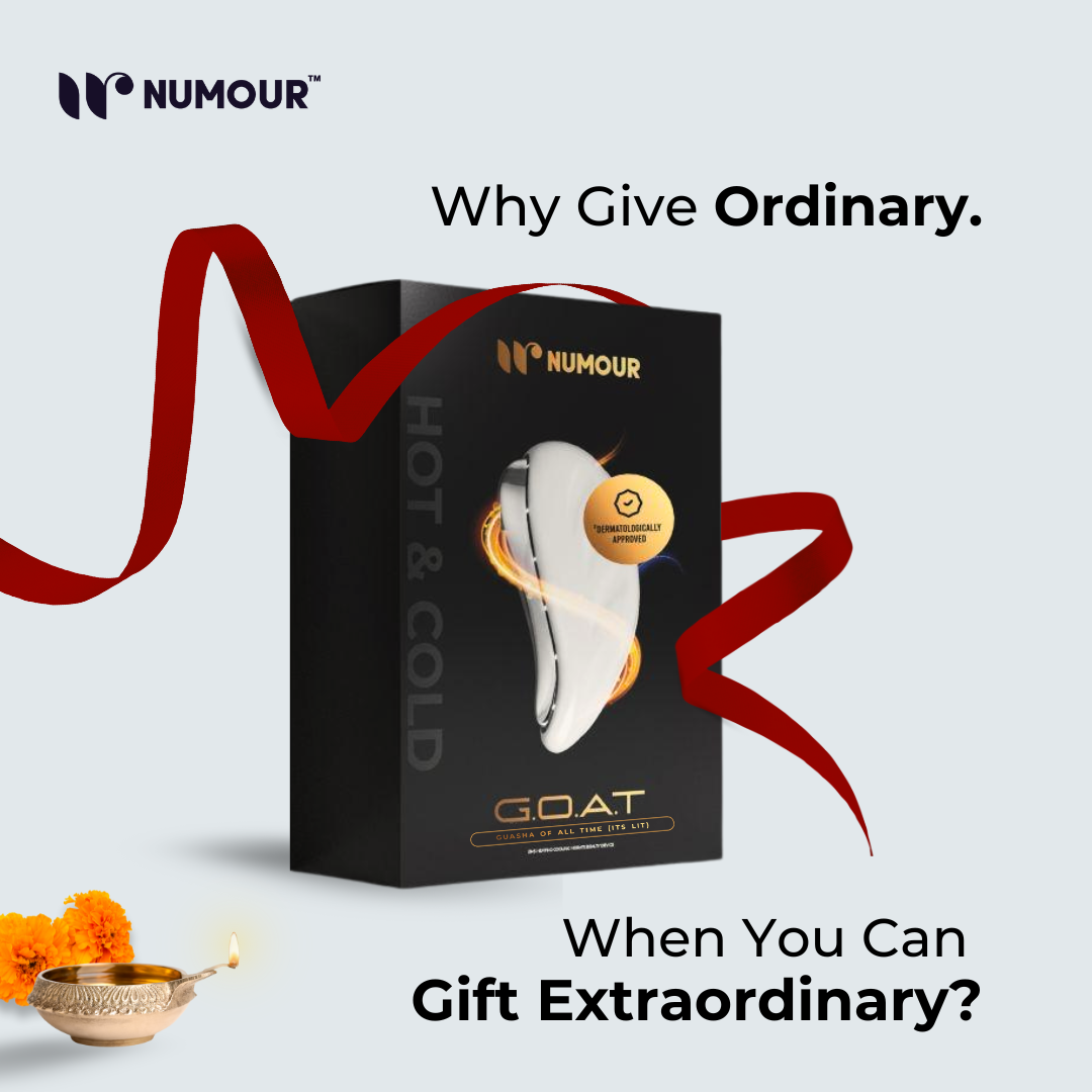 Numour Goat festive